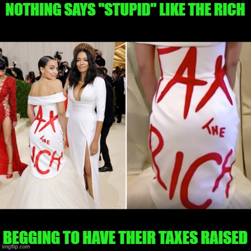 Except they wouldn't be affected by anything they impose on us "little people." Hypocrites would be the proper term. | NOTHING SAYS "STUPID" LIKE THE RICH; BEGGING TO HAVE THEIR TAXES RAISED | image tagged in aoc,alexandria ocasio-cortez,wealthy,met gala,raise taxes,hypocrites | made w/ Imgflip meme maker