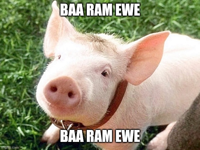 Babe The Pig | BAA RAM EWE BAA RAM EWE | image tagged in babe the pig | made w/ Imgflip meme maker