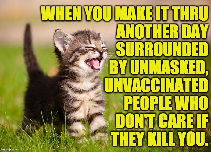 Thank you Pfizer. | WHEN YOU MAKE IT THRU
ANOTHER DAY
SURROUNDED
BY UNMASKED,
UNVACCINATED
PEOPLE WHO
DON'T CARE IF
THEY KILL YOU. | image tagged in memes,happy cat,covidiots,thank you pfizer | made w/ Imgflip meme maker