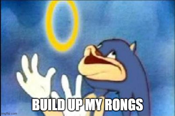 https://www.youtube.com/watch?v=0Szk6MgiHBU | BUILD UP MY RONGS | image tagged in sonic derp | made w/ Imgflip meme maker