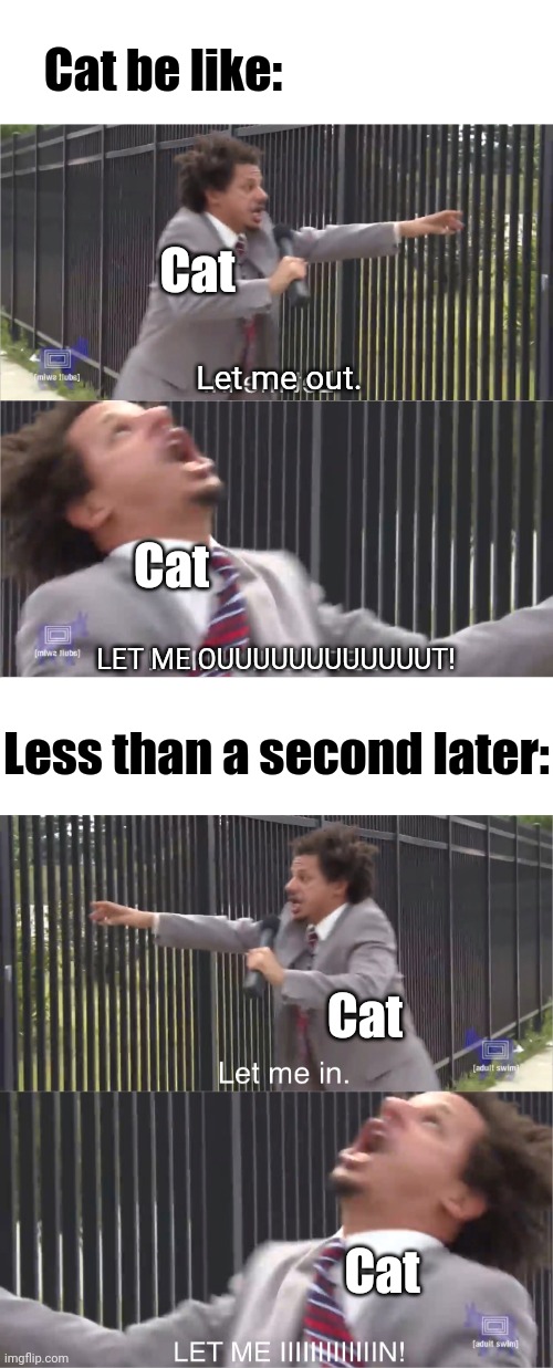 Cat be like:; Cat; Let me out. Cat; LET ME OUUUUUUUUUUUUT! Less than a second later:; Cat; Cat | image tagged in let me in | made w/ Imgflip meme maker