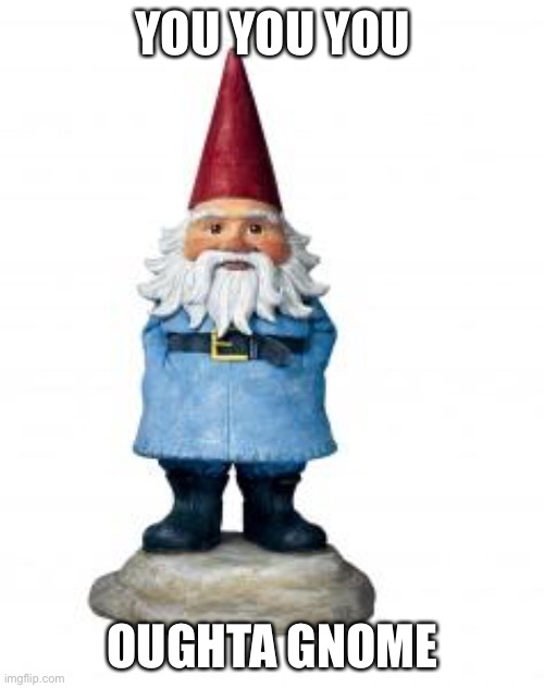 Alanis | YOU YOU YOU; OUGHTA GNOME | image tagged in gnome,alanis | made w/ Imgflip meme maker