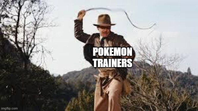 Why do a lot of them have whips in the early games? | POKEMON TRAINERS | image tagged in whip,pokemon | made w/ Imgflip meme maker