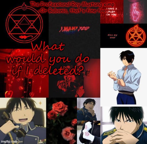 I am a professional Roy Mustang simp | What would you do if I deleted? | image tagged in i am a professional roy mustang simp | made w/ Imgflip meme maker