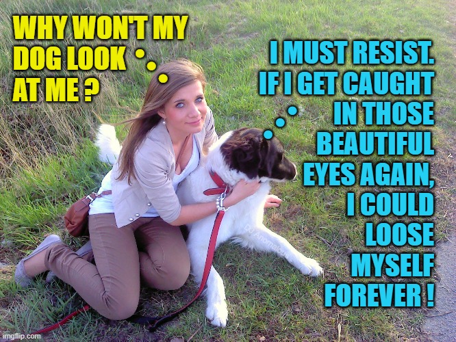 Inner thoughts | ... WHY WON'T MY
DOG LOOK
AT ME ? I MUST RESIST.
IF I GET CAUGHT
IN THOSE
BEAUTIFUL
EYES AGAIN,
I COULD
 LOOSE
MYSELF
FOREVER ! ... DJ Anomalous | image tagged in dogs,love,eyes,blue eyes,beautiful woman,lost | made w/ Imgflip meme maker