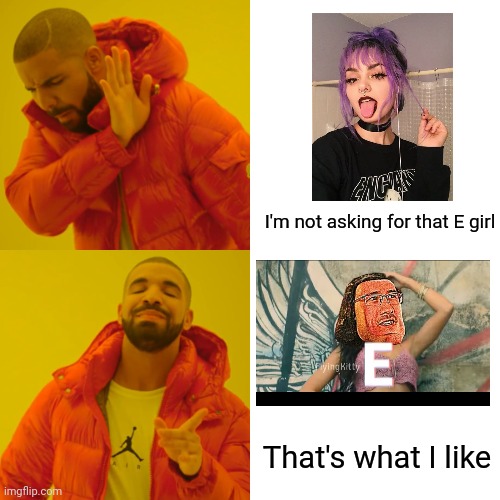 E Girls | I'm not asking for that E girl; That's what I like | image tagged in memes,drake hotline bling | made w/ Imgflip meme maker