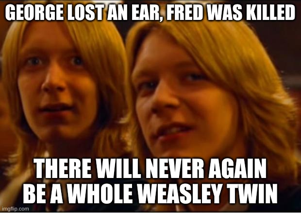 Weasley twins | GEORGE LOST AN EAR, FRED WAS KILLED; THERE WILL NEVER AGAIN BE A WHOLE WEASLEY TWIN | image tagged in weasley twins | made w/ Imgflip meme maker