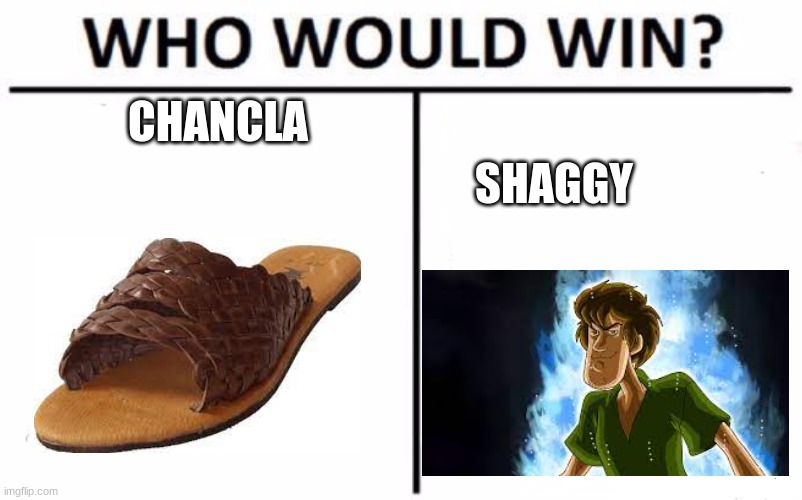 The mighty chancla will deside your fate. | CHANCLA; SHAGGY | image tagged in memes,who would win | made w/ Imgflip meme maker