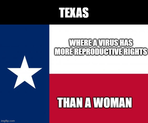 Because texas | TEXAS; WHERE A VIRUS HAS MORE REPRODUCTIVE RIGHTS; THAN A WOMAN | image tagged in because texas | made w/ Imgflip meme maker