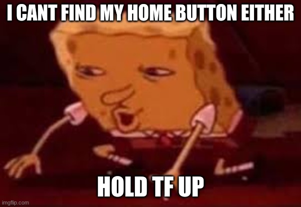 Searching Spongebob | I CANT FIND MY HOME BUTTON EITHER HOLD TF UP | image tagged in searching spongebob | made w/ Imgflip meme maker