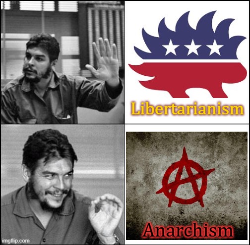 Greed & selfishness is not true freedom. | Libertarianism; Anarchism | image tagged in che guevara as drake likes,libertarians,anarchy,one of these things is not like the other | made w/ Imgflip meme maker