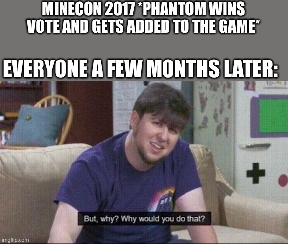 You guys are to blame for the phantom | MINECON 2017 *PHANTOM WINS VOTE AND GETS ADDED TO THE GAME*; EVERYONE A FEW MONTHS LATER: | image tagged in but why why would you do that | made w/ Imgflip meme maker