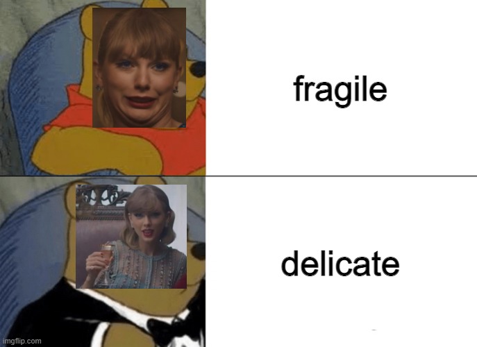 delicate is the correct word | fragile; delicate | image tagged in memes,tuxedo winnie the pooh | made w/ Imgflip meme maker