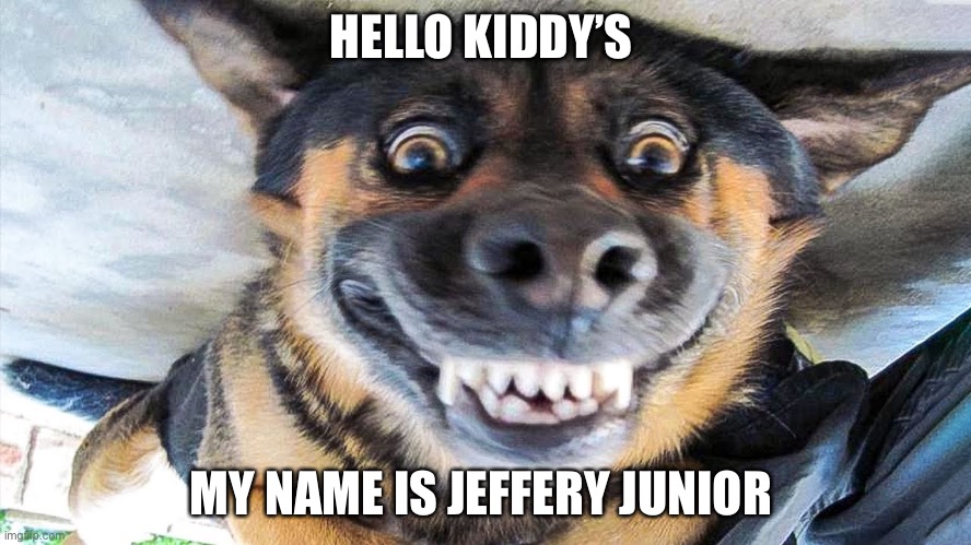 HELLO KIDDY’S; MY NAME IS JEFFERY JUNIOR | image tagged in funny memes | made w/ Imgflip meme maker