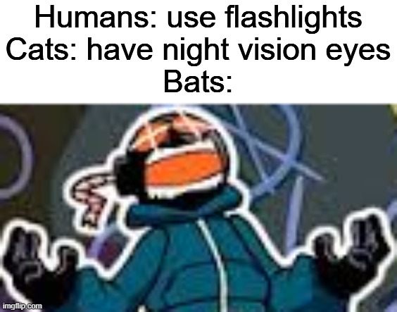 Ballistic Whitty | Humans: use flashlights
Cats: have night vision eyes
Bats: | image tagged in ballistic whitty | made w/ Imgflip meme maker