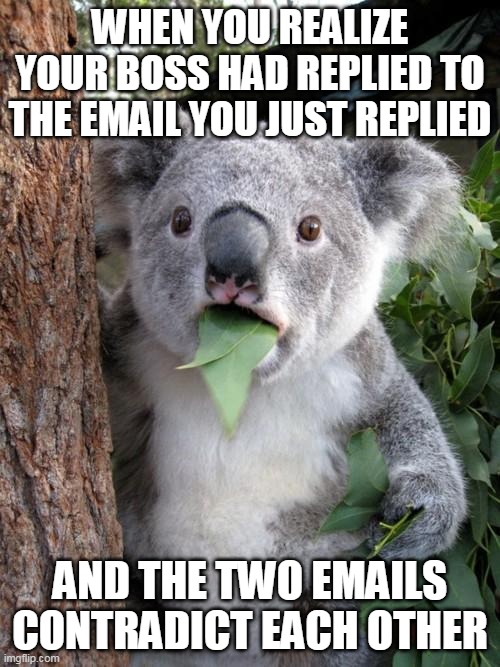 Emailing |  WHEN YOU REALIZE YOUR BOSS HAD REPLIED TO THE EMAIL YOU JUST REPLIED; AND THE TWO EMAILS CONTRADICT EACH OTHER | image tagged in memes,surprised koala | made w/ Imgflip meme maker