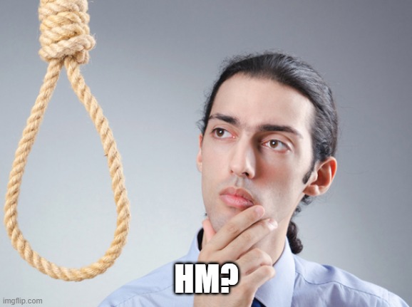 noose | HM? | image tagged in noose | made w/ Imgflip meme maker