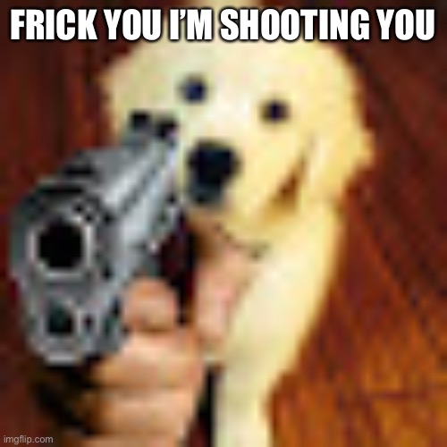 Dog gun | FRICK YOU I’M SHOOTING YOU | image tagged in dog gun | made w/ Imgflip meme maker