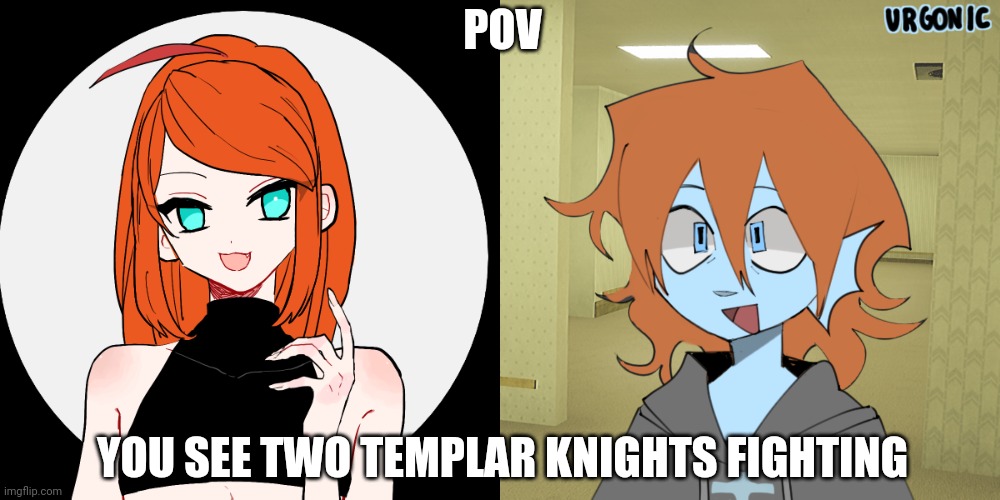 Female Templar is now canon | POV; YOU SEE TWO TEMPLAR KNIGHTS FIGHTING | image tagged in memes,blank transparent square | made w/ Imgflip meme maker