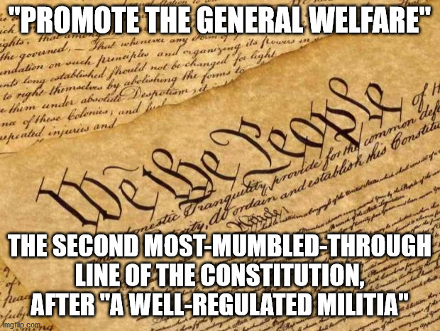 mAnDaTeS aRe UnCoNsTiTuTiOnAl!!!1 | "PROMOTE THE GENERAL WELFARE"; THE SECOND MOST-MUMBLED-THROUGH LINE OF THE CONSTITUTION, AFTER "A WELL-REGULATED MILITIA" | image tagged in constitution,mask | made w/ Imgflip meme maker