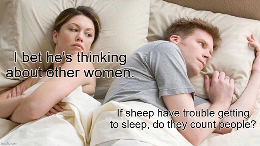 I Bet He's Thinking About Other Women Meme | I bet he's thinking about other women. If sheep have trouble getting to sleep, do they count people? | image tagged in memes,i bet he's thinking about other women,sleep,sheep,counting | made w/ Imgflip meme maker