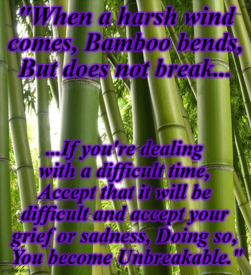 For the oppressed people here. | "When a harsh wind comes, Bamboo bends, But does not break... ...If you're dealing with a difficult time, Accept that it will be difficult and accept your grief or sadness, Doing so,
 You become Unbreakable." | image tagged in lgbtq,inspirational quote,taoism,quote,nemo | made w/ Imgflip meme maker