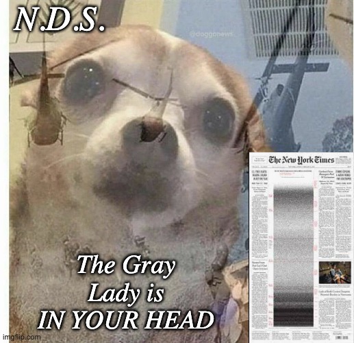 For a very special person . . . with hope for his future literacy | N.D.S. The Gray Lady is IN YOUR HEAD | image tagged in ptsd chihuahua,reeing,politics,media,msm,newspaper | made w/ Imgflip meme maker