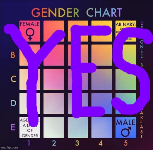 Everyone else were doing it | image tagged in gender chart,lgbtq,yes,memes | made w/ Imgflip meme maker