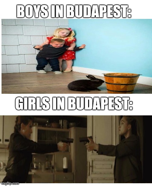 BOYS IN BUDAPEST:; GIRLS IN BUDAPEST: | image tagged in blank white template | made w/ Imgflip meme maker