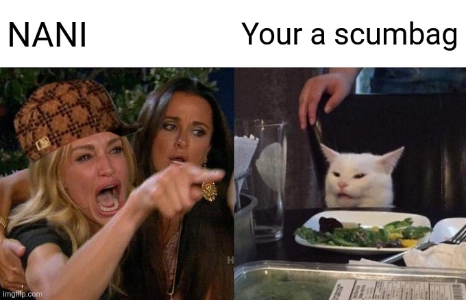 Cat | NANI; Your a scumbag | image tagged in memes,woman yelling at cat | made w/ Imgflip meme maker