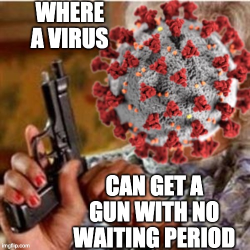 WHERE A VIRUS CAN GET A GUN WITH NO WAITING PERIOD | made w/ Imgflip meme maker