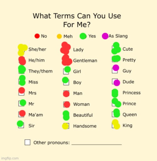 Eh, why not? | image tagged in pronouns sheet | made w/ Imgflip meme maker