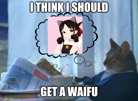Himouto cat meme | Anime cat, Cat memes, Funny anime pics