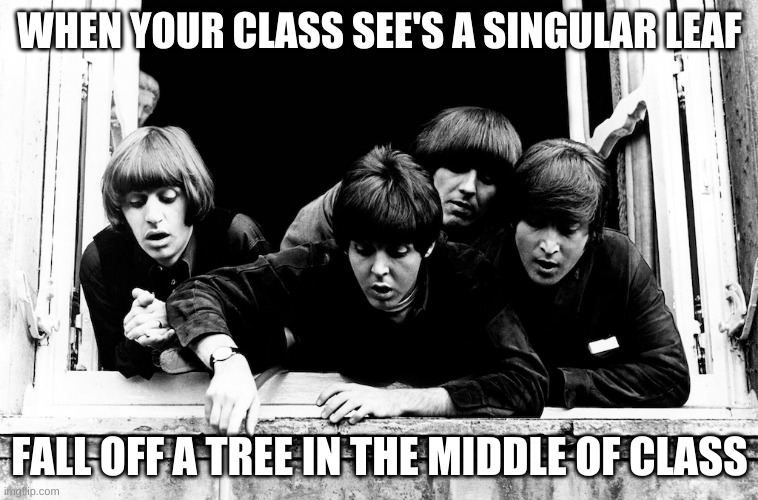 Distractions | WHEN YOUR CLASS SEE'S A SINGULAR LEAF; FALL OFF A TREE IN THE MIDDLE OF CLASS | image tagged in memes,the beatles,school | made w/ Imgflip meme maker