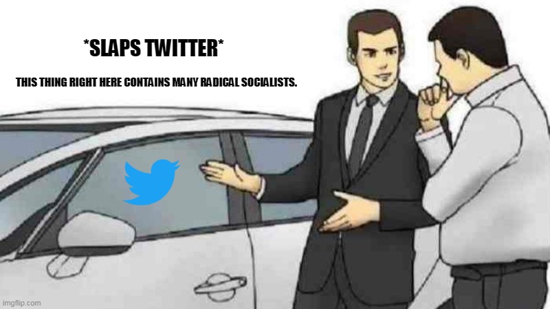 Car Salesman Slaps Roof Of Car Meme | *SLAPS TWITTER*; THIS THING RIGHT HERE CONTAINS MANY RADICAL SOCIALISTS. | image tagged in memes,car salesman slaps roof of car,politics | made w/ Imgflip meme maker