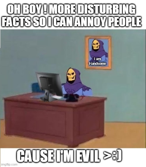 skeletor-finding-facts-imgflip