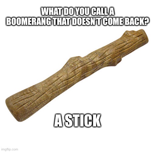 WHAT DO YOU CALL A BOOMERANG THAT DOESN’T COME BACK? A STICK | image tagged in jokes,stick,silly | made w/ Imgflip meme maker