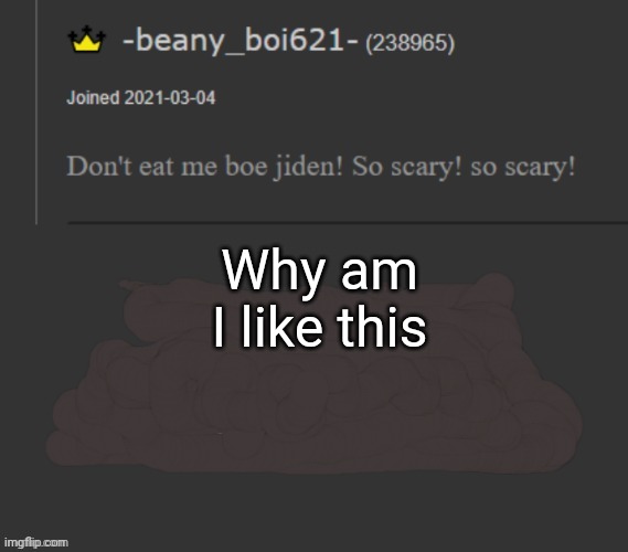 beany | Why am I like this | image tagged in beany | made w/ Imgflip meme maker