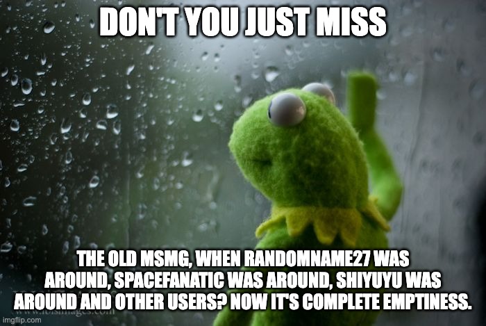 kermit window | DON'T YOU JUST MISS; THE OLD MSMG, WHEN RANDOMNAME27 WAS AROUND, SPACEFANATIC WAS AROUND, SHIYUYU WAS AROUND AND OTHER USERS? NOW IT'S COMPLETE EMPTINESS. | image tagged in kermit window | made w/ Imgflip meme maker
