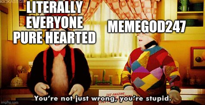 You're not just wrong, you're stupid. | LITERALLY EVERYONE PURE HEARTED MEMEGOD247 | image tagged in you're not just wrong you're stupid | made w/ Imgflip meme maker