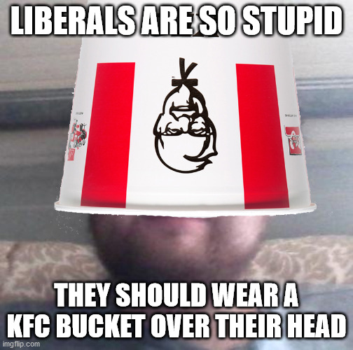 Embarrassing | LIBERALS ARE SO STUPID; THEY SHOULD WEAR A KFC BUCKET OVER THEIR HEAD | image tagged in stupid liberals | made w/ Imgflip meme maker