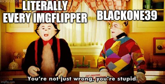 You're not just wrong, you're stupid. | LITERALLY EVERY IMGFLIPPER BLACKONE39 | image tagged in you're not just wrong you're stupid | made w/ Imgflip meme maker