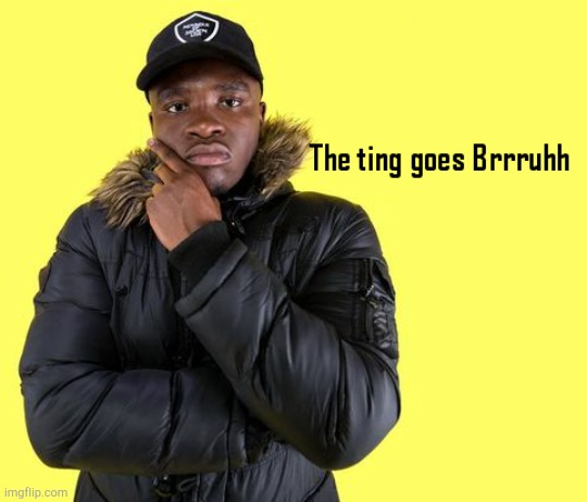 The ting goes brrruhh | image tagged in the ting goes brrruhh | made w/ Imgflip meme maker