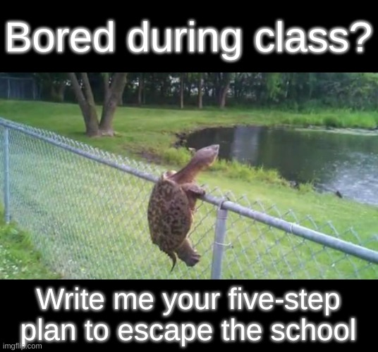 Unleash your inner prisoner | Bored during class? Write me your five-step plan to escape the school | image tagged in turtle fence escape,escape,no escape,prison escape,school meme,school memes | made w/ Imgflip meme maker