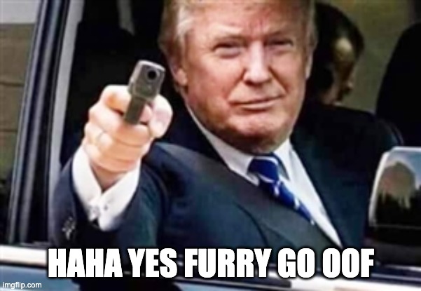 trump | HAHA YES FURRY GO OOF | image tagged in trump gun | made w/ Imgflip meme maker