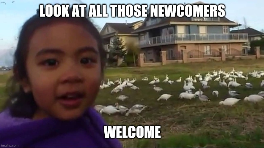 Look at All Those Chickens | LOOK AT ALL THOSE NEWCOMERS WELCOME | image tagged in look at all those chickens | made w/ Imgflip meme maker