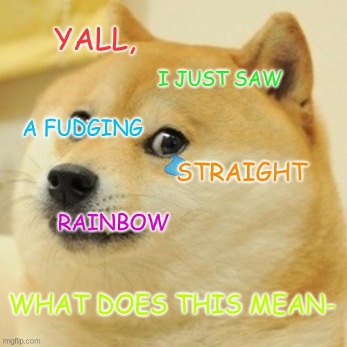 Doge | YALL, I JUST SAW; A FUDGING; STRAIGHT; RAINBOW; WHAT DOES THIS MEAN- | image tagged in memes,doge | made w/ Imgflip meme maker