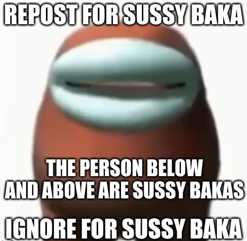 SUSSY BAKA meme - Piñata Farms - The best meme generator and meme maker for  video & image memes