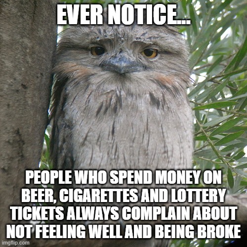 Wise Advice Potoo | EVER NOTICE... PEOPLE WHO SPEND MONEY ON BEER, CIGARETTES AND LOTTERY TICKETS ALWAYS COMPLAIN ABOUT NOT FEELING WELL AND BEING BROKE | image tagged in wise advice potoo | made w/ Imgflip meme maker