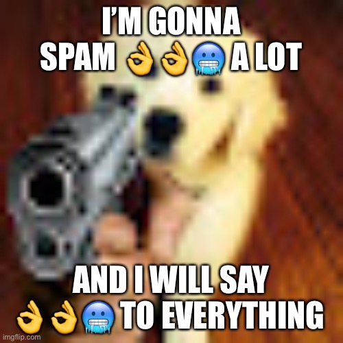 Dog gun | I’M GONNA SPAM 👌👌🥶 A LOT; AND I WILL SAY 👌👌🥶 TO EVERYTHING | image tagged in dog gun | made w/ Imgflip meme maker